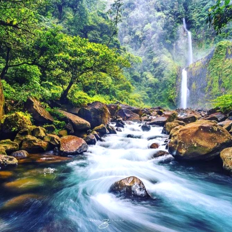Potensi unggulan Kabupaten Kaur
