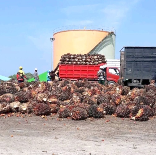 Peluang investasi Kabupaten Kaur