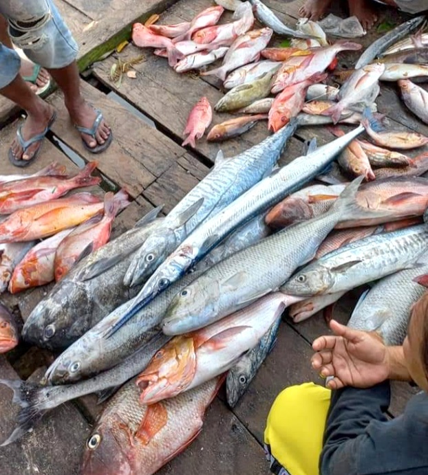 Potensi kelautan Kabupaten Kaur