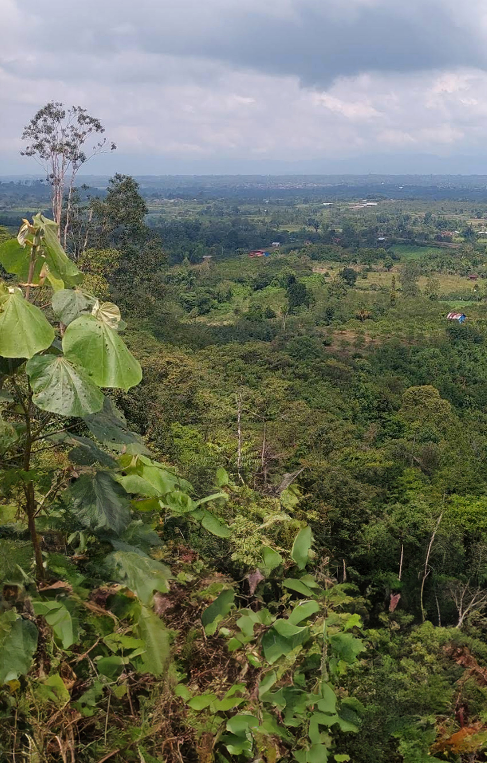 Kondisi geografis Kabupaten Pakpak Bharat