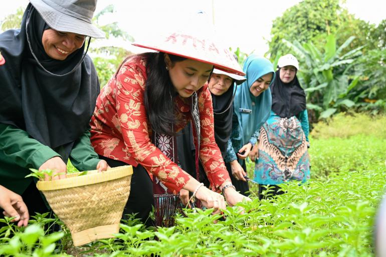 Hortikultura